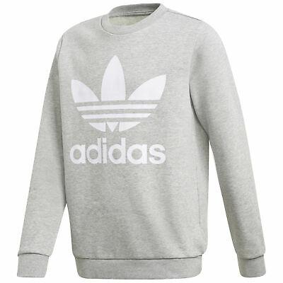 ADIDAS TREFOIL CREW MGREYH