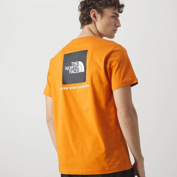 THE NORTH FACE  NTF M S/S REDBOX TEE DESERT RUST