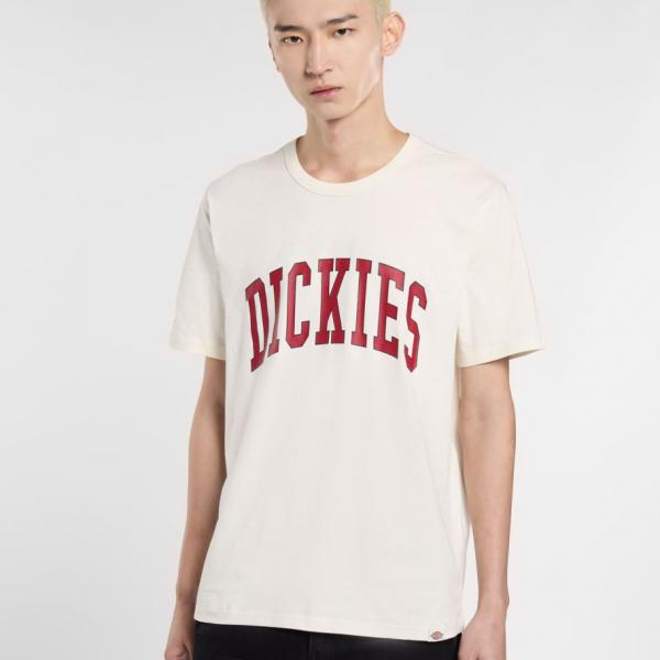 DICKIES AITKIN TEE EGRET