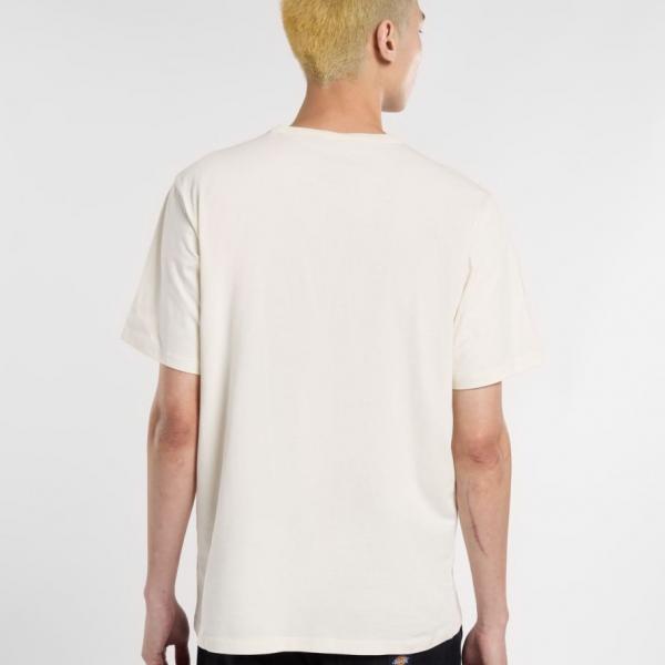 DICKIES AITKIN TEE EGRET